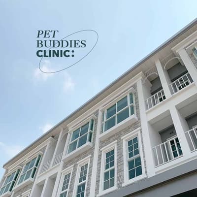 Pet Buddies Clinic (คลินิกเพ็ทบัดดี้รักษาสัตว์) 1