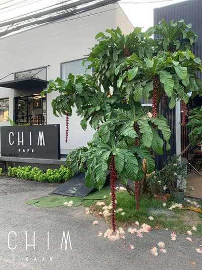 CHIM cafe' (ระยอง) 5