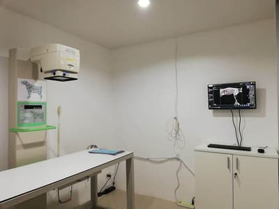 Boonthum Animal Hospital (โรงพยาบาลสัตว์บุญธรรม) 2