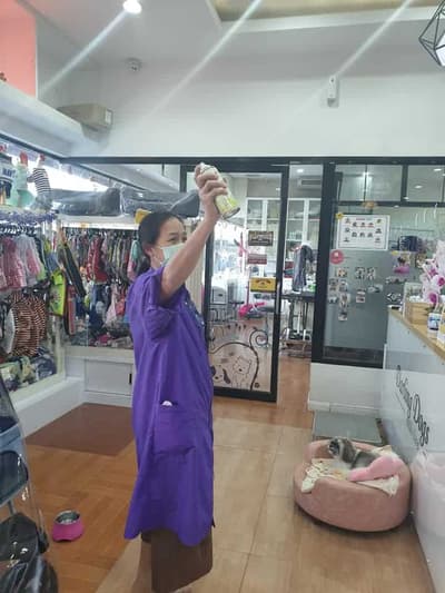 Darling Dogs (ศาลายา) 5