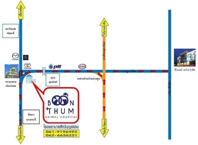 Boonthum Animal Hospital (โรงพยาบาลสัตว์บุญธรรม) 5