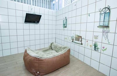 โรงพยาบาลสัตว์ปากเกร็ด Pakkret Animal Hospital 6