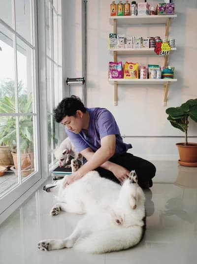 Pet Buddies Clinic (คลินิกเพ็ทบัดดี้รักษาสัตว์) 4