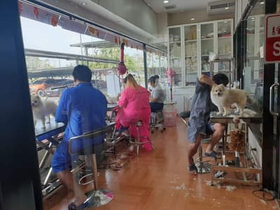 Darling Dogs (ศาลายา) 6