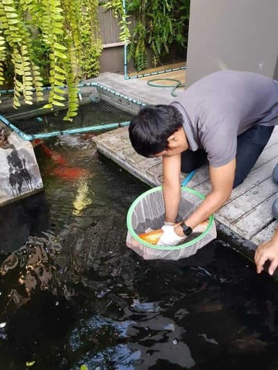 Boonthum Animal Hospital (โรงพยาบาลสัตว์บุญธรรม) 6