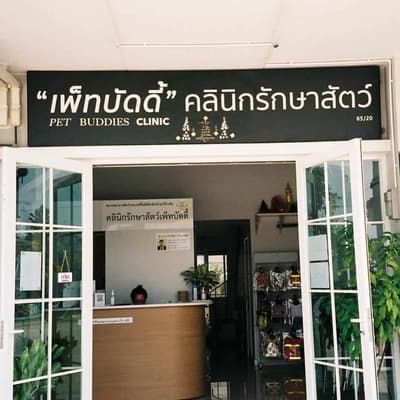 Pet Buddies Clinic (คลินิกเพ็ทบัดดี้รักษาสัตว์) 7