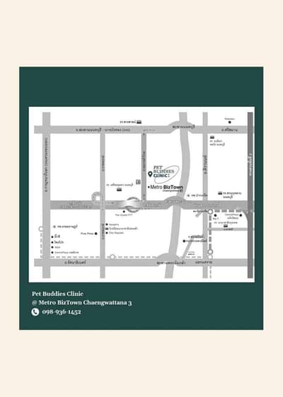 Pet Buddies Clinic (คลินิกเพ็ทบัดดี้รักษาสัตว์) 9