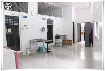 โรงพยาบาลสัตว์เมตตา (สงขลา) 4