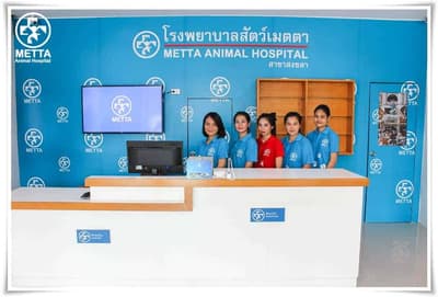 โรงพยาบาลสัตว์เมตตา (สงขลา) 5