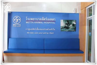 โรงพยาบาลสัตว์เมตตา สาขาหาดใหญ่ (นิพัทธ์อุทิศ 3) 1