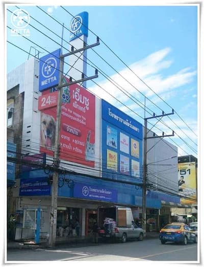 โรงพยาบาลสัตว์เมตตา (สุราษฏร์ธานี) 1
