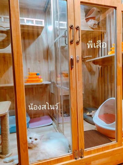 Gaga Pet Salon (ลาดกระบัง) 8