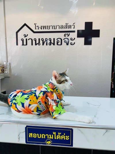 โรงพยาบาลสัตว์บ้านหมอจ๊ะ (ปราจีนบุรี) 1
