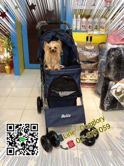 DogGlory Pet Shop & Grooming Center (ถนนจันทร์) 4