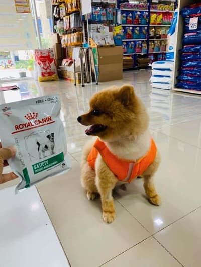 โรงพยาบาลสัตว์บ้านหมอจ๊ะ (ปราจีนบุรี) 4