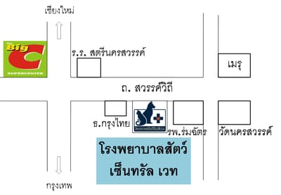 Central Vet (โรงพยาบาลสัตว์เซ็นทรัลเวท) 1