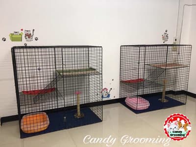 Candy Grooming (พระราม2) 3