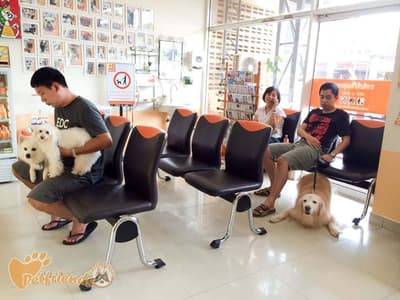 Petfriends Hospital (โรงพยาบาลเพื่อนสัตว์เลี้ยงศรีราชา) 2