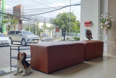 Teimrak Vet Hospital (โรงพยาบาลสัตว์เติมรักษ์) 3