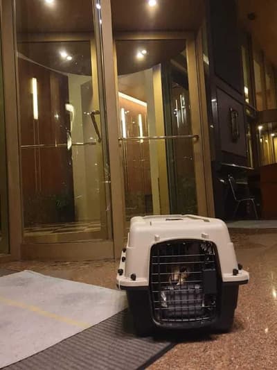 Pet & Aquatic Animal Hospital (PAQ) (โรงพยาบาลสัตว์เพ็ทแอนด์อะควอติก) 3