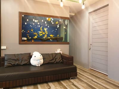 Pet & Aquatic Animal Hospital (PAQ) (โรงพยาบาลสัตว์เพ็ทแอนด์อะควอติก) 4