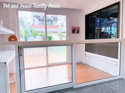 Pet and Peace Family House (ตลิ่งชัน) 6