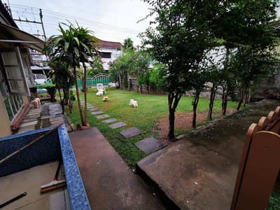 Dogzaa @ home (รับฝากเลี้ยงสุนัข) 2