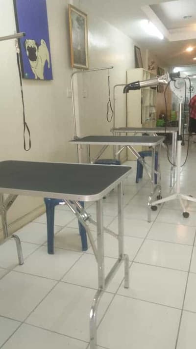 Graphic Grooming (โรงเรียนสอนอาชีพตัดขนสุนัข) 4