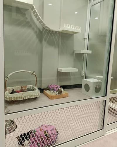 Happy Land Cat Hotel (บางกะปิ) 1