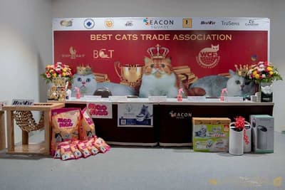 WCF Thailand by BCT-Best Cats Trade Association (สมาคมการค้าแมว) 2
