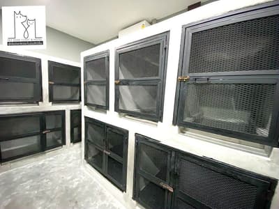 Pet Zone Clinic & Hotel (เพ็ทโซนรักษาสัตว์ และโรงแรมสัตว์เลี้ยง) 2
