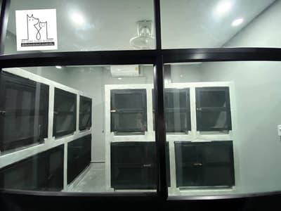Pet Zone Clinic & Hotel (เพ็ทโซนรักษาสัตว์ และโรงแรมสัตว์เลี้ยง) 3