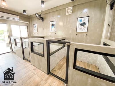 Pet and Peace Family House (ตลิ่งชัน) 7