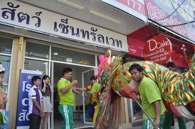 Central Vet (โรงพยาบาลสัตว์เซ็นทรัลเวท) 3