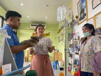 Khunkala Animal Clinic (คุณกะลารักษาสัตว์) 5