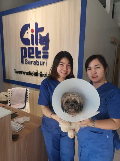 โรงพยาบาลสัตว์ซิตี้เพ็ทส์ (สระบุรี) 6