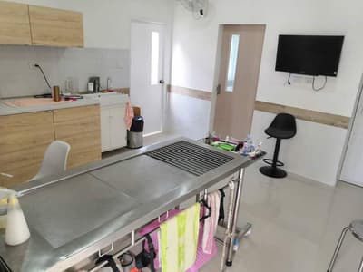 D-Dog Pet Hospital (โรงพยาบาลสัตว์ดีด็อก) 6