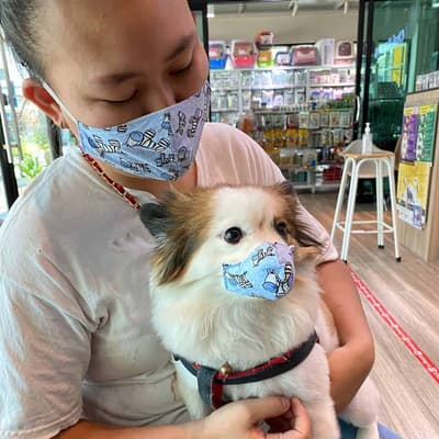 Chai Narong Animal Hospital (โรงพยาบาลสัตว์ไชยณรงค์) 3