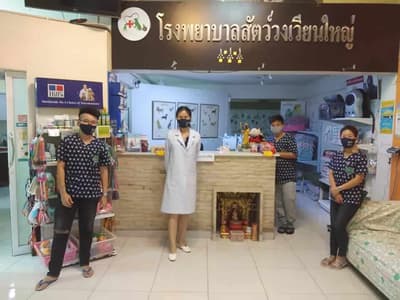 Wongwianyai (โรงพยาบาลสัตว์วงเวียนใหญ่) 4