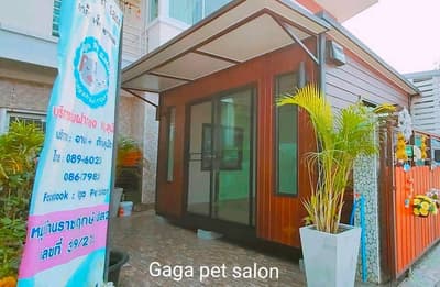 Gaga Pet Salon (ลาดกระบัง) 5