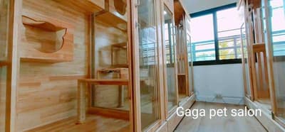 Gaga Pet Salon (ลาดกระบัง) 6