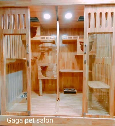Gaga Pet Salon (ลาดกระบัง) 7