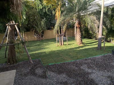 Tropical House 5