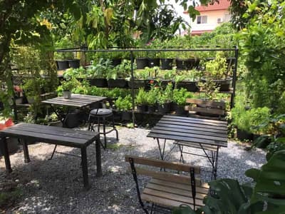 Farmily - a cafe in farm ฟาร์มมิลี่ คาเฟ่ 8
