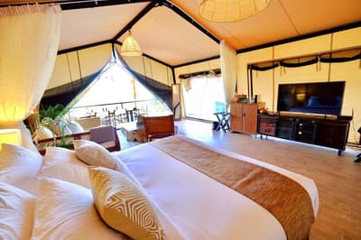 Te Mata Glamping 2
