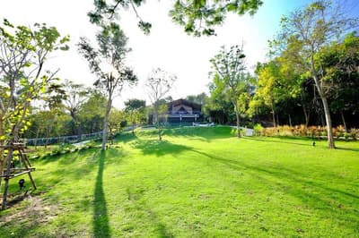 Te Mata Glamping 6