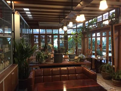 Tree Tales ทรี เทลส์ คาเฟ่ 6