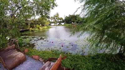 Thammachadocha ธรรมชาติโอชา 1