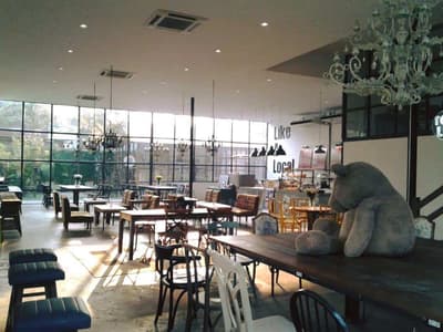 Cafe Like a Local คาเฟ่ ไลค์ อะ โลคอล 8