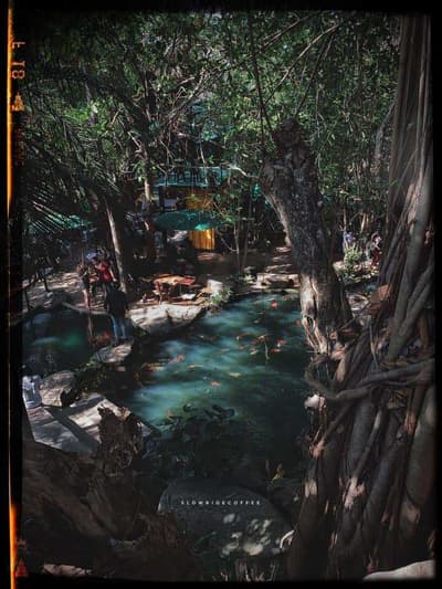Slow Ride Coffee&Cafe สโลว์ ไรด์ คอฟฟี่ แอนด์ คาเฟ่ 5